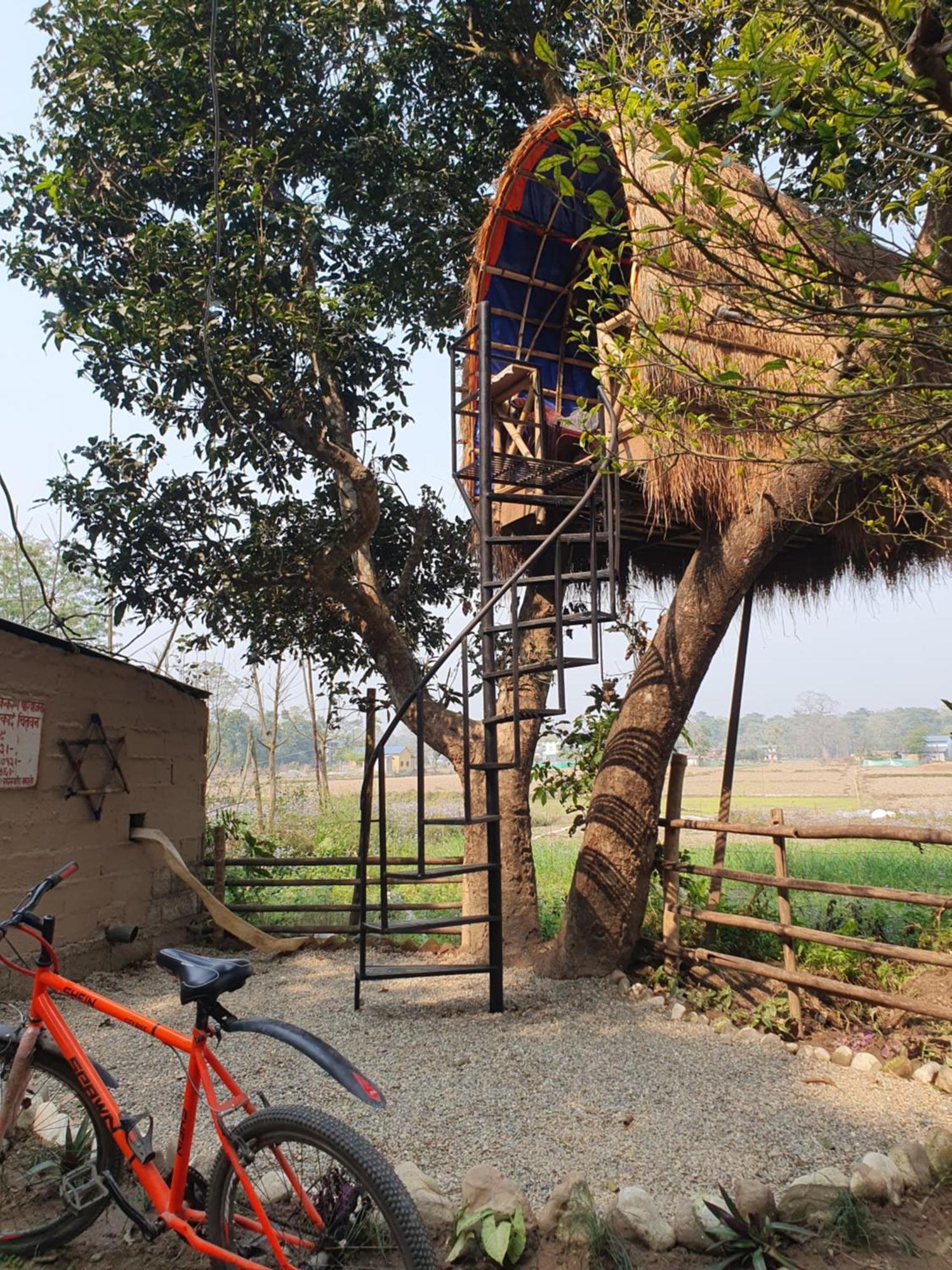 Pemsee'S Tree Town - Eco-Friendly,Tree House Hostel Sauraha Exterior foto