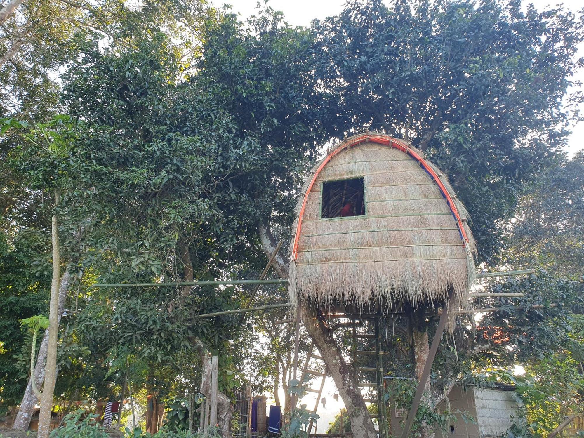 Pemsee'S Tree Town - Eco-Friendly,Tree House Hostel Sauraha Exterior foto